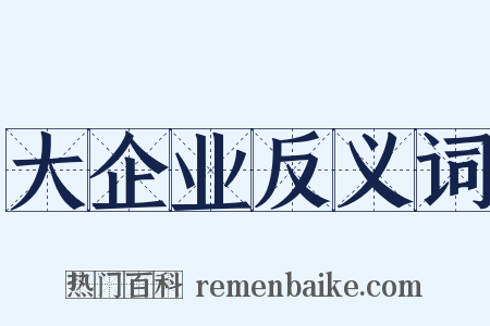 大企业反义词是什么意思的图片
